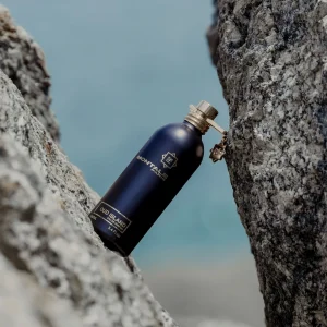 Oud Island - 100ml MONTALE