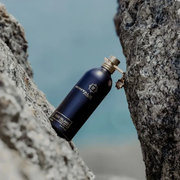 Oud Island - 100ml MONTALE